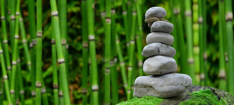 Magic Meditation Gardens