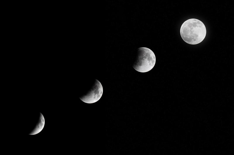 Moonbeam Blossoms